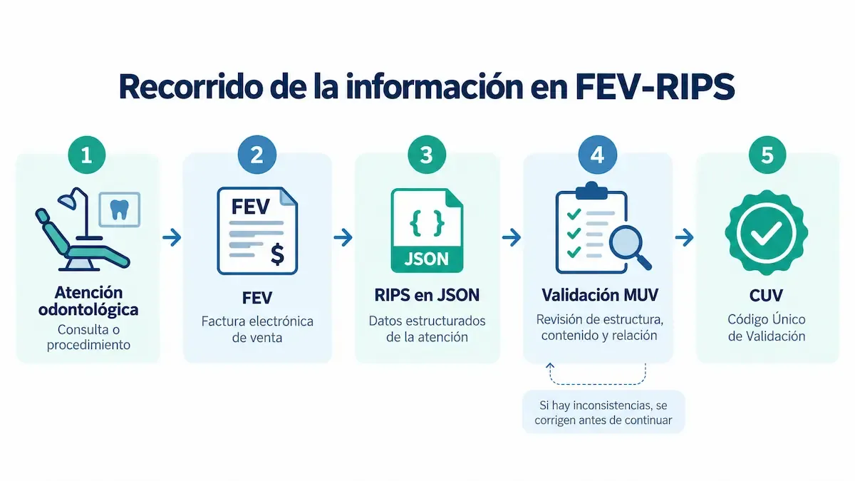 Flujo FEV-RIPS en odontología desde la atención hasta la validación y CUV.